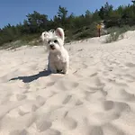 Baltic Holidays