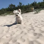 Baltic Holidays 펜션 *