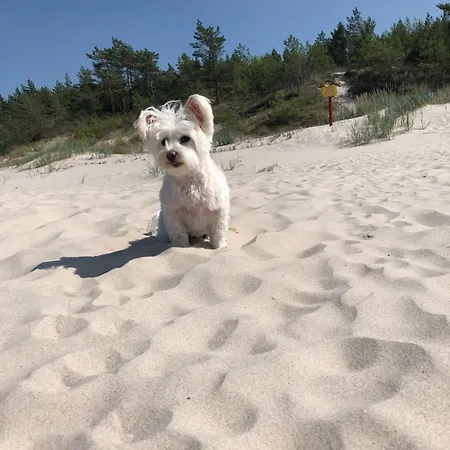 Baltic Holidays