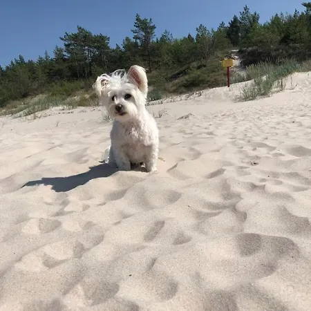 Baltic Holidays Σπίτι διακοπών *