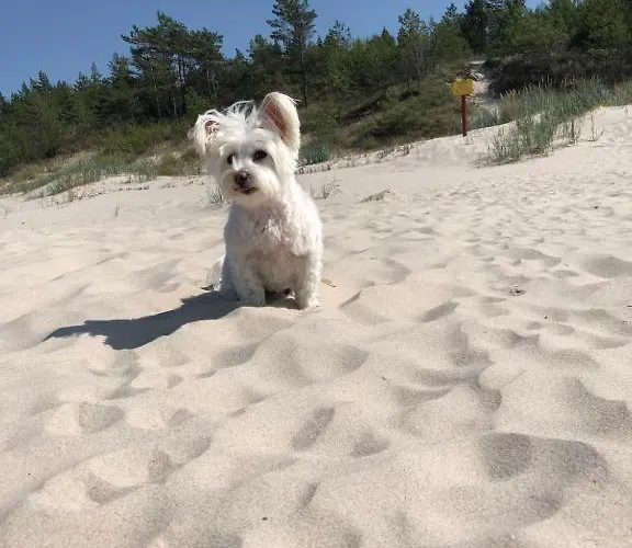 Baltic Holidays Prázdninový dům *