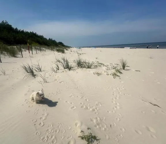 Prázdninový dům Baltic Holidays *